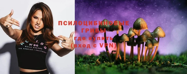 мдпв Каменск-Шахтинский