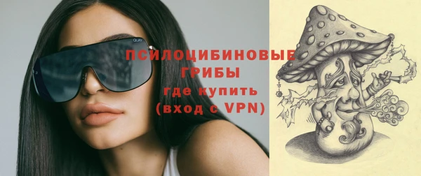 экстази Каменка