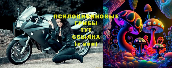 дживик Касимов