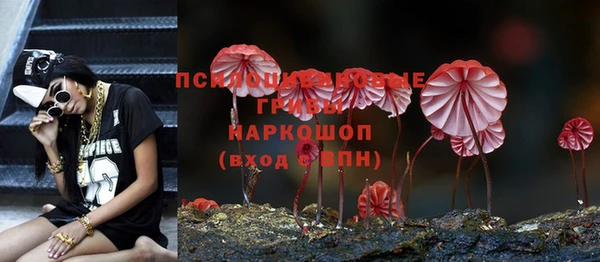 эйфоретик Новозыбков