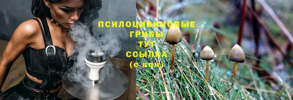 эйфоретик Каменногорск